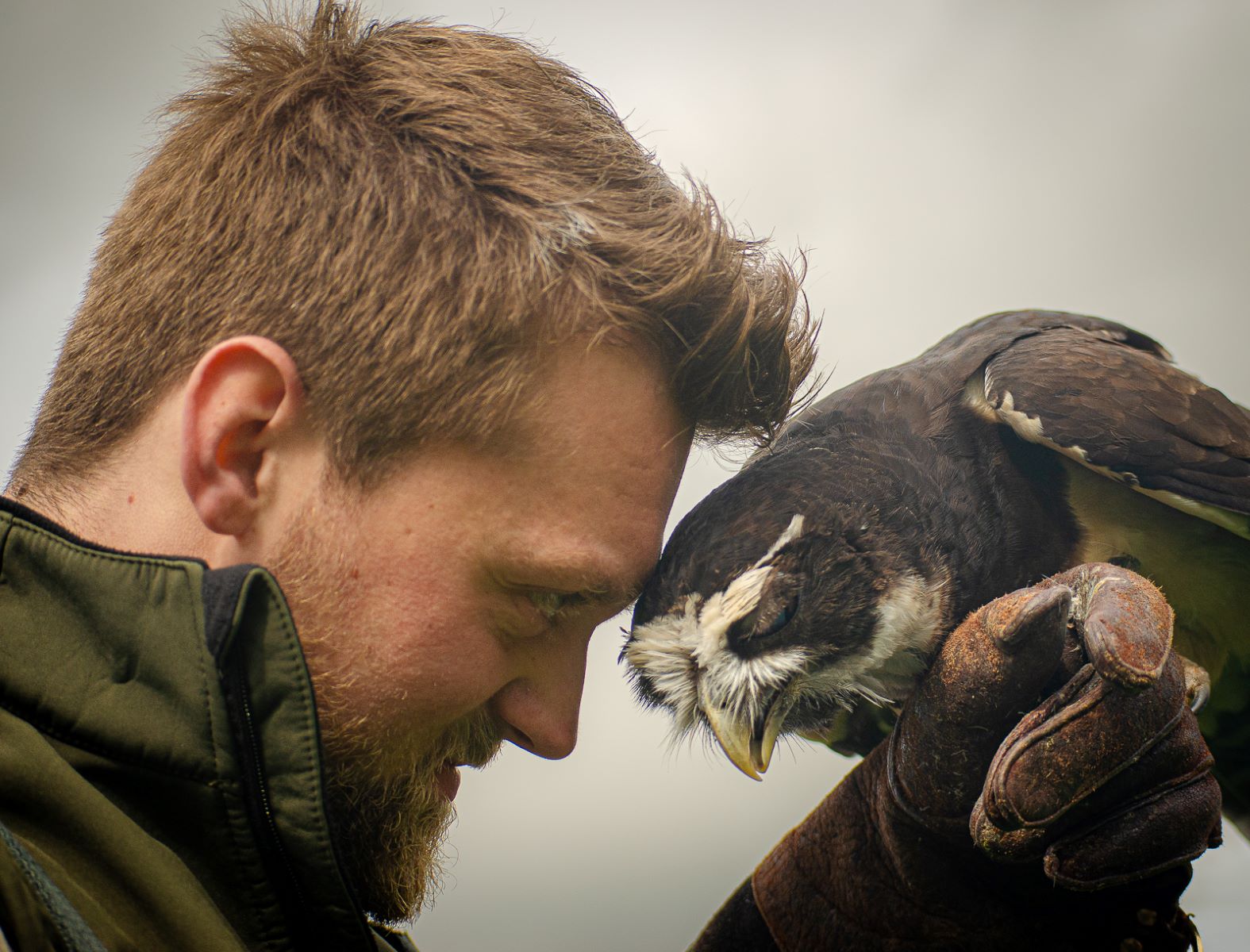 3rd Place - Karen Charman - The Falconer & his Spectacled Owl